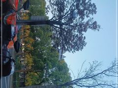 -聚鑫阁·非遗传承江浙菜(正阳店)
