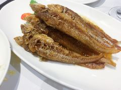 -上海会馆(香港名都店)