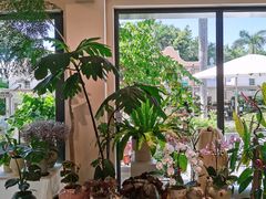-花神·轻食简餐·咖啡馆·花卉绿植(荷兰花卉小镇店)