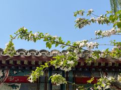 -元大都城垣遗址公园