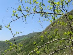 -北京十三陵国家森林公园蟒山景区