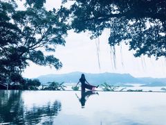 -大埔公路-马料水段香港中文大学(公交站)