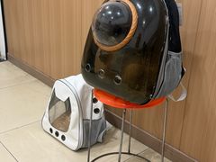 -米苏动物医院·犬猫专科·骨科外科内窥镜