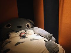 -艾乐空间主题私人影院(宝山万达店)