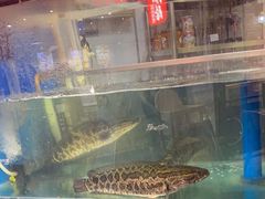 -鱼酷活鱼烤鱼(梅江印象城店)