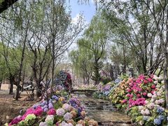 -沂蒙云瀑洞天景区