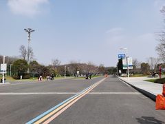 -羊山湖公园