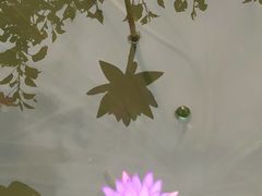 -世界洞漂之王老虎谷漂流