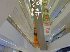 -岭南站NOVA