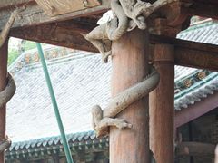 -晋祠公园
