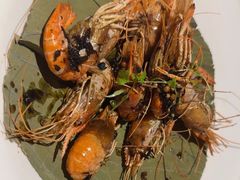 -桂满陇·桃花院落(长泰广场店)