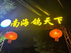 -南海鸽天下(肇庆店)