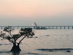 -宝安西湾红树林湿地公园