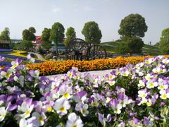 -南通洲际绿博园