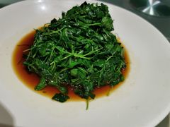 -沪碟·精菜坊(闵行店)