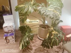 -海菲秀黑钻·SELF SKIN悦己·Tech SPA