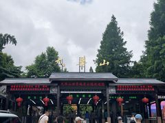 -九华山风景区