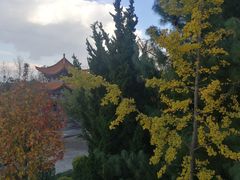 -三塔倒影公园
