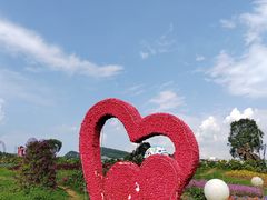 -凉都花海温泉旅游度假区