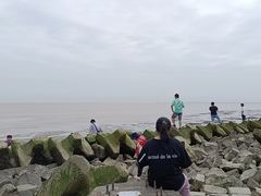 -南汇嘴观海公园