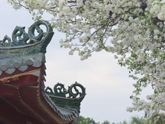 -中山公园