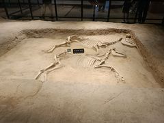 -洛阳周王城天子驾六博物馆