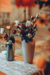 -曼格纳婚礼艺术中心(张江店)