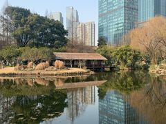 -钱江新城