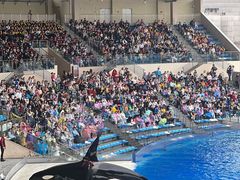 -上海海昌海洋公园