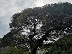 -月湖公园