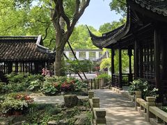 -上海醉白池公园