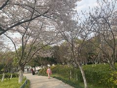 -范蠡湖公园