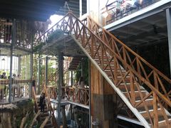 -Rainforest