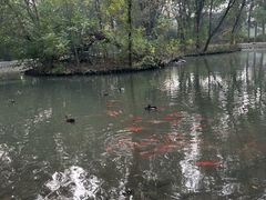 -北京麋鹿生态实验中心