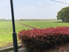 -嘉北郊野公园