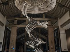 -海南清水湾莱佛士酒店