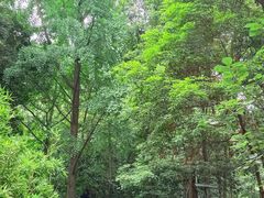 -成都市活水公园