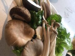 -百年果林椰子鸡(中洲店)
