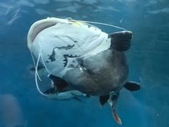 -苏州海洋馆