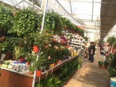 -秦美花卉(天朗·莱茵小城2期店)