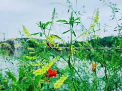 -枫香湖儿童公园