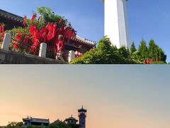 -烟台海昌鲸鲨海洋公园