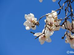 -山东大学(趵突泉校区)