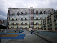 -彩虹村