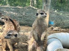 -水上乐园·欢乐世界