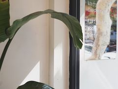 -常识咖啡common sense(春熙路店)