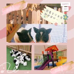 -萌宠亲子动物乐园(槐房万达店)