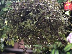 -三旗百汇商品城