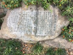 -嘉定紫藤园