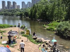 -重庆彩云湖湿地公园
